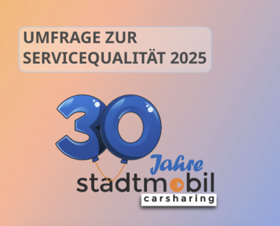 Umfrageergebnisse 2025