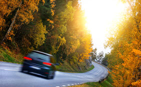 Auto fährt durch Herbstwald
